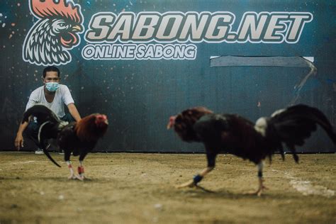 sabong online registration|Sabong Online Registration .